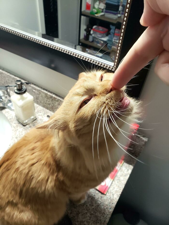 Boop Scrunge