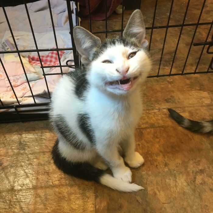 Old Photo Of My Scrungy Boy (He Has Grown Into His Ears)