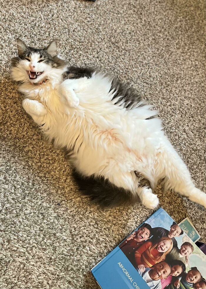 I Look Over And See This Lil’ Poop Doing Her Best Vampire Impression