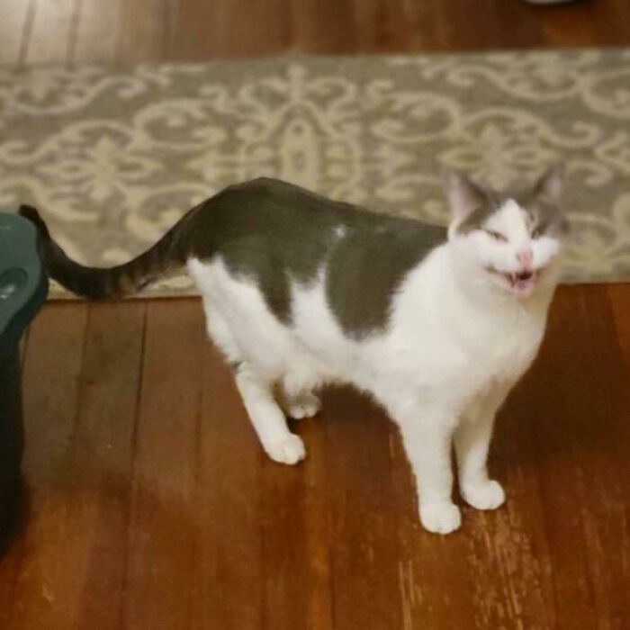 A Specimen I Got Back In January