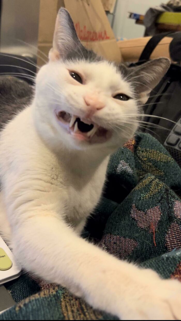 Excuse Me - Pardon Me - Wweeeeeghhggggkkkgkkgh