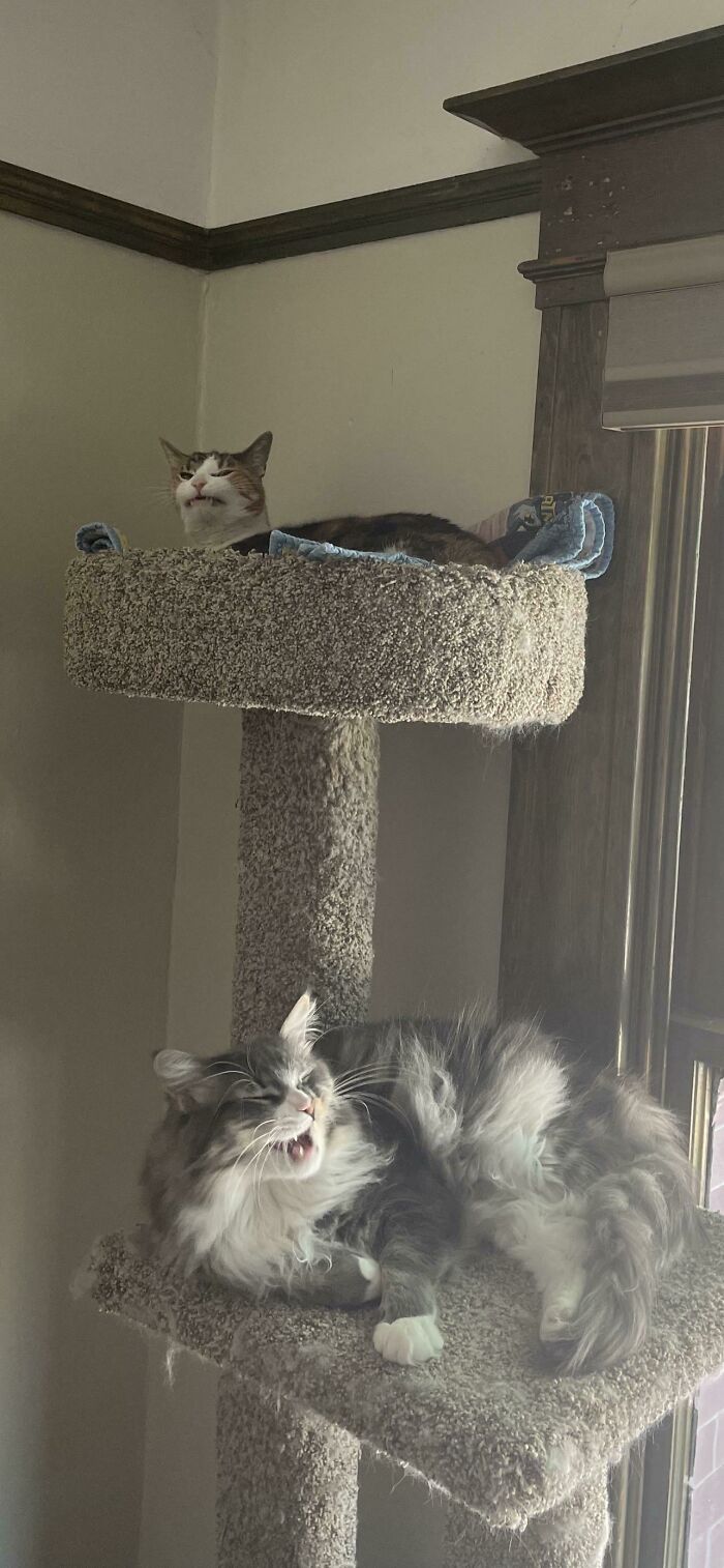 Two For The Price Of One!