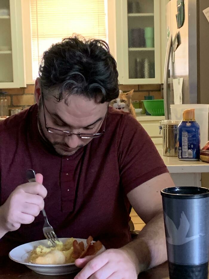 Scronger Lurking For Breakfast