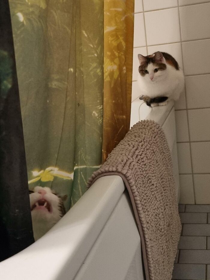 At Least One Of Them Is Normal