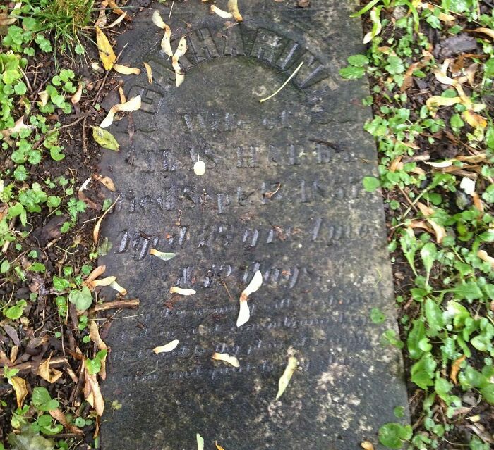 Just Moved Into My New House, Found This In The Backyard