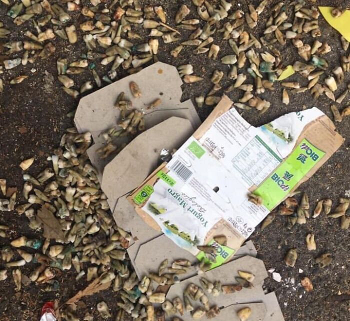 Hundreds Of Human Teeth Found By A Waste Container In My City