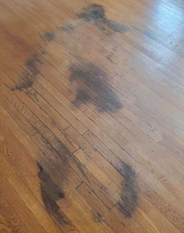 Found In A House Listed On The Market