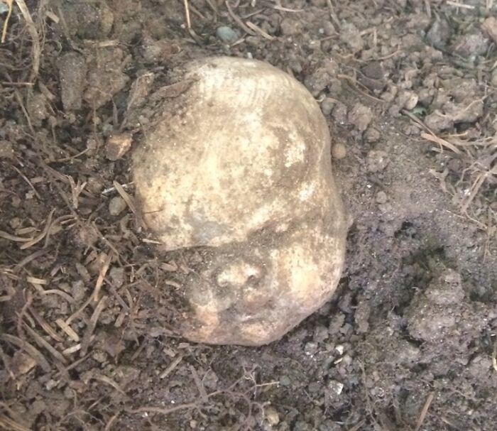 Found Seven Of These Concrete "Sculptures" In The Garden Of The House We Just Bought