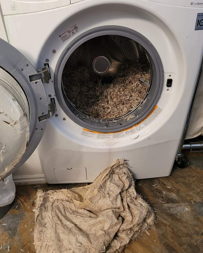 Boyfriend Tried To Wash A Pillow