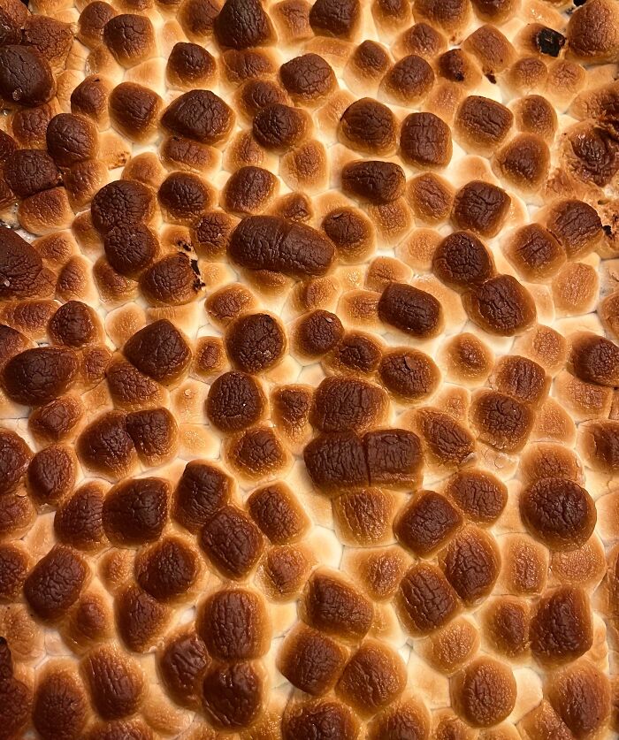 Marshmallows Over Yams For Thanksgiving