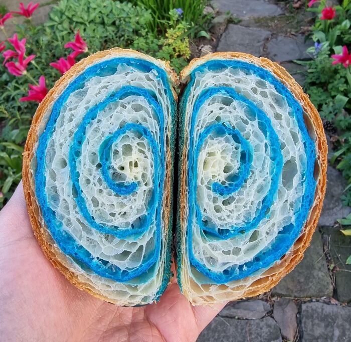 Homemade Sourdough Blueberry Croissant