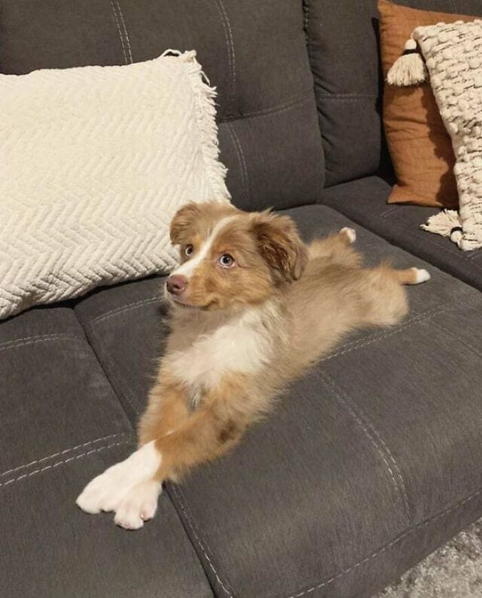 Business In The Front, Party In The Back