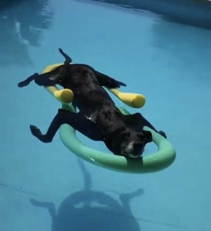 Floating Sploot