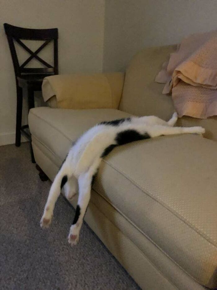 Dude Just Sleeps Like This