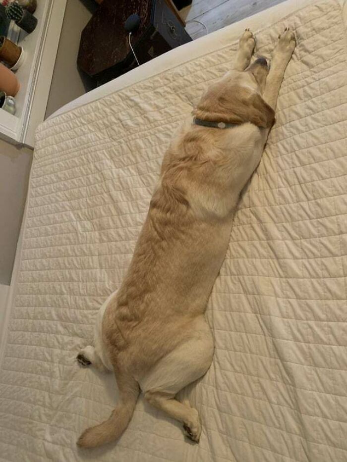 After A Long Day At The Park