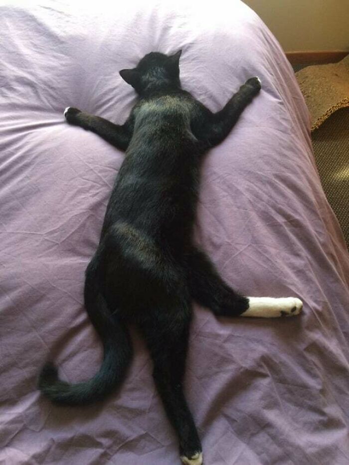 Somehow Thorin Could Always Look Both Comfortable And Uncomfortable At The Same Time