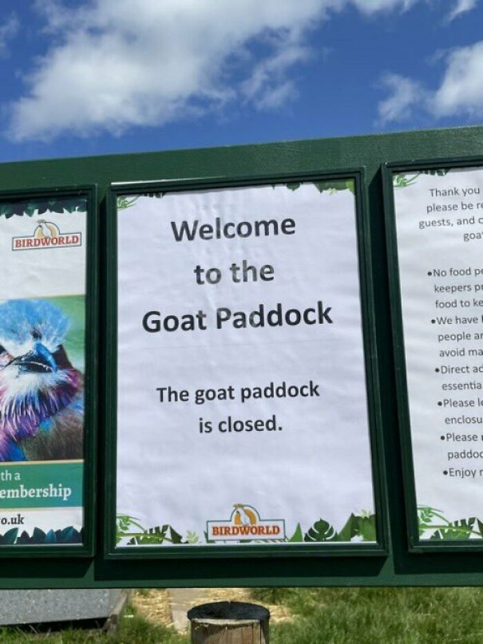 Guns N Roses’ Difficult Second Album