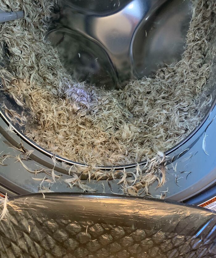 If You’re Ever Tempted To Machine Wash A Down Pillow Maybe… Don’t