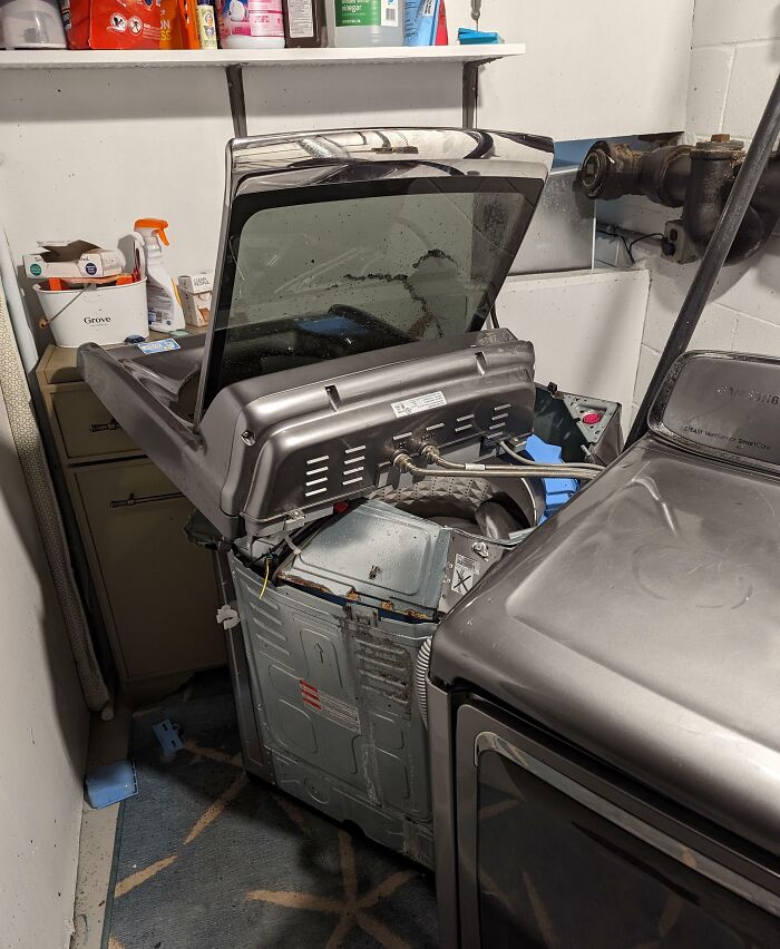 My Wife (And The Rest Of The House) Also Heard A Noise In The Laundry Room