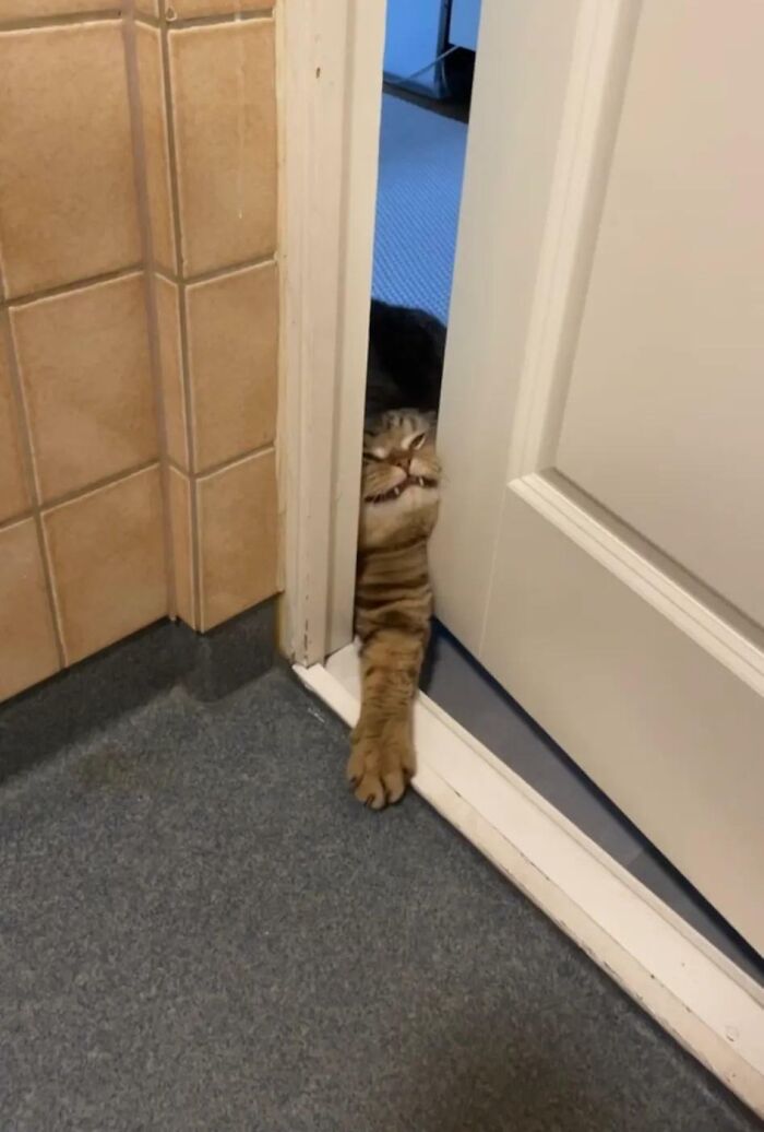 "Let Me Iiin"-Scrunge