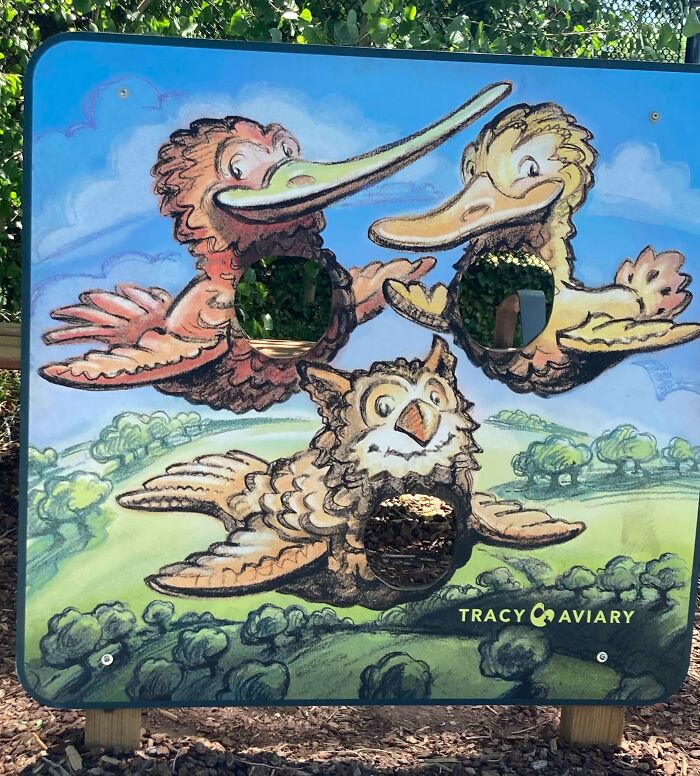 Anyone Wanna Take A Picture With Their Face As A Bird’s Chest?