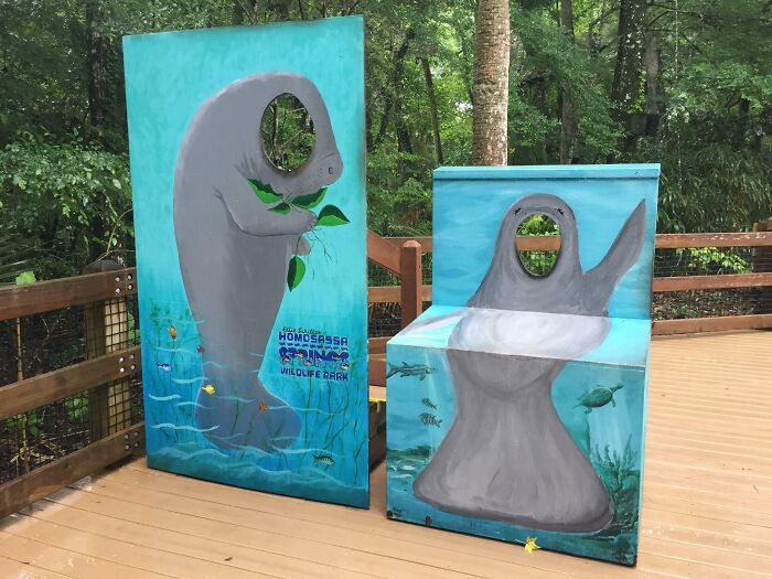 This Wheelchair-Accessible "Put Your Face In The Hole" Photo-Stand