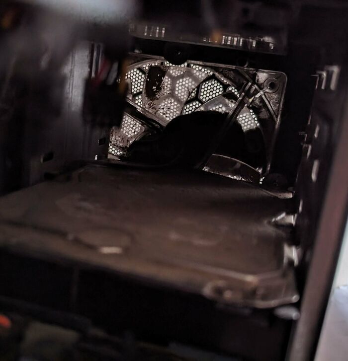 Opened My PC Today To Find Out Why It Suddenly Started Running So Much Quieter A Couple Of Days Ago, And Also Why My Office Had A Bad Smell This Morning. Mystery Solved... 🤢