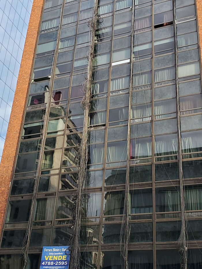 I Thought I Had Seen It All