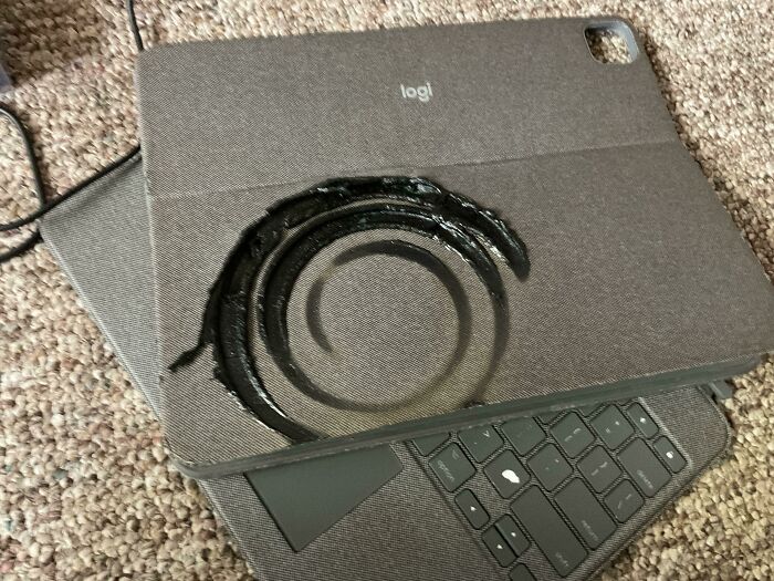 Today Almost Got Very Spicy