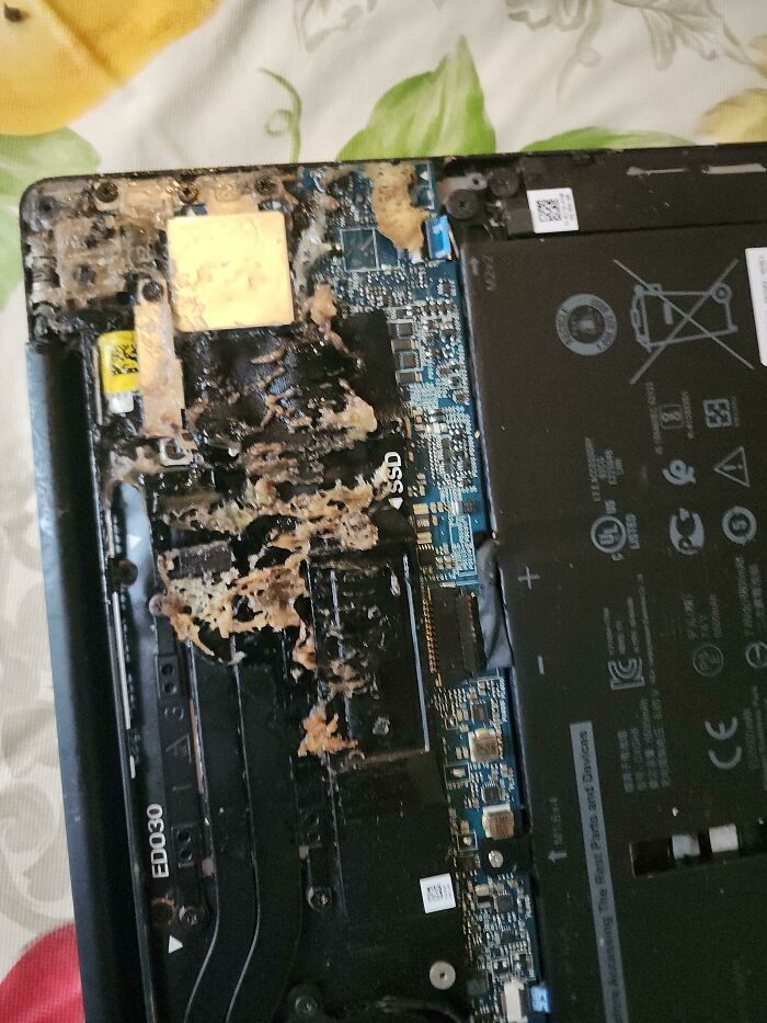 Someone Put A Banana In My Backpack That Made It's Way Into My Laptop