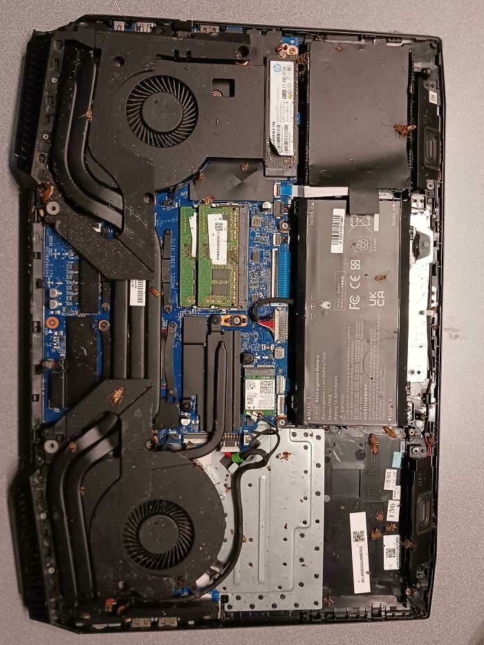 Look Like My Laptop Is A Roach Nest Now