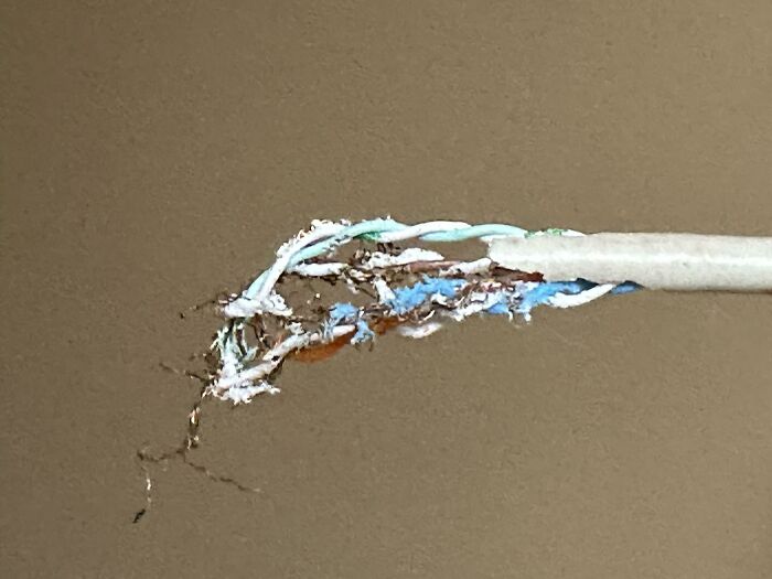 Incompatible Mouse Knocks Out Internet