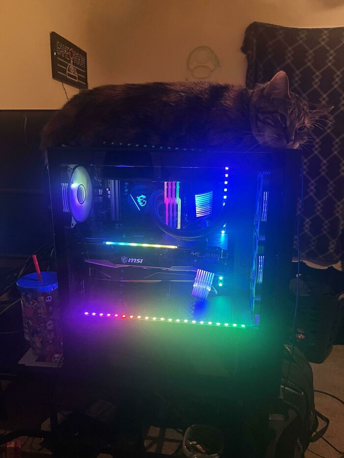 I Wonder Why My Computer Is Overheating