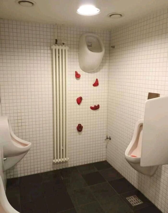 Confusing-Weird-Pics