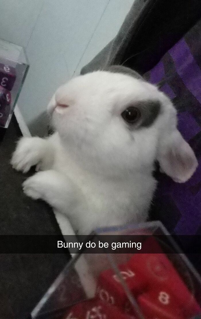 Confusing-Weird-Pics