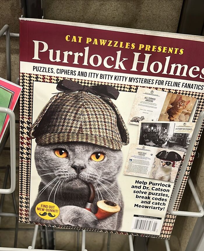 Confusing-Weird-Pics