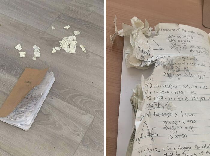 My Dog Ate My Homework, Now I Have To Do My Work All Over Again