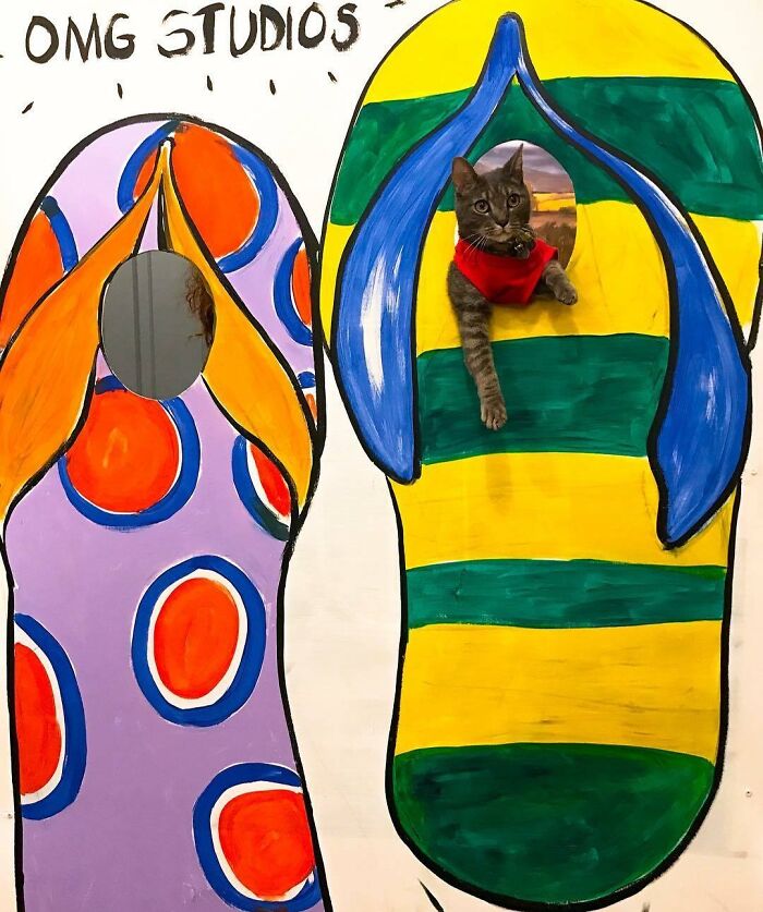 Ever Wanted To Become A Flip-Flop?