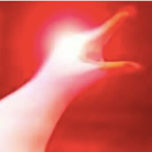 pearietermpitipong avatar