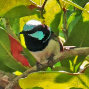 michaelkennedy_1 avatar