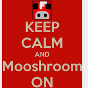 shannonroyster avatar