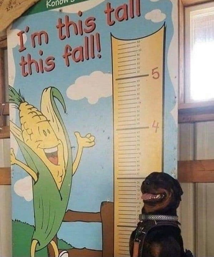 Important Animal Images (New Pics)