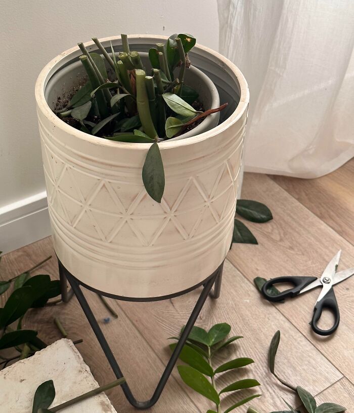 Consequences Of Oversleeping With A 4-Year-Old In The House