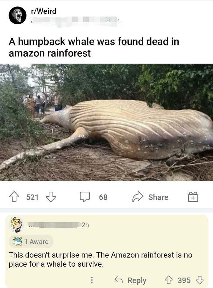 Does Not Surprise Me Either