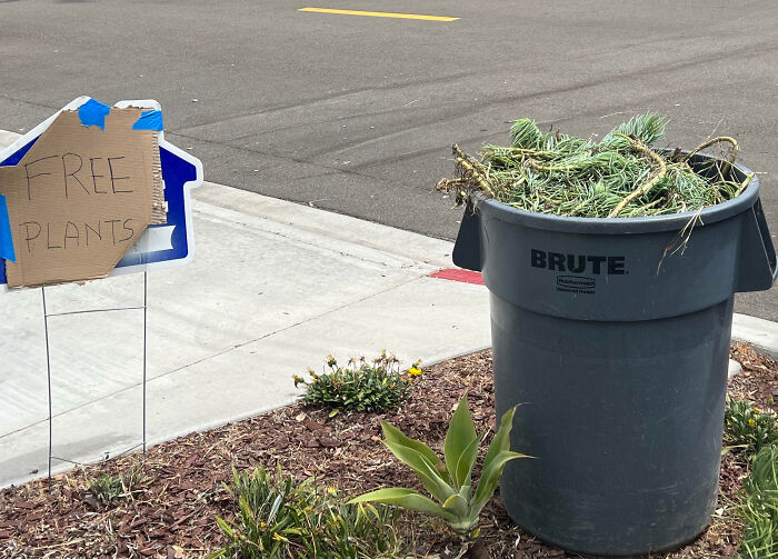 A Creative Endeavor From My Neighbor To Get Someone To Take His Yard Waste