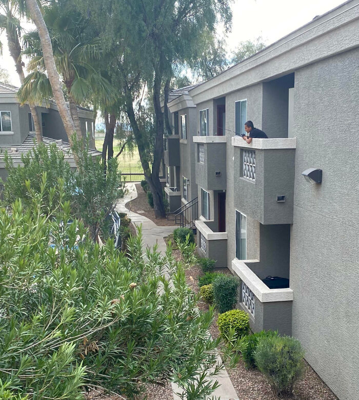 My Neighbor Is Fishing For Lizards. So Far He Has Been Unsuccessful