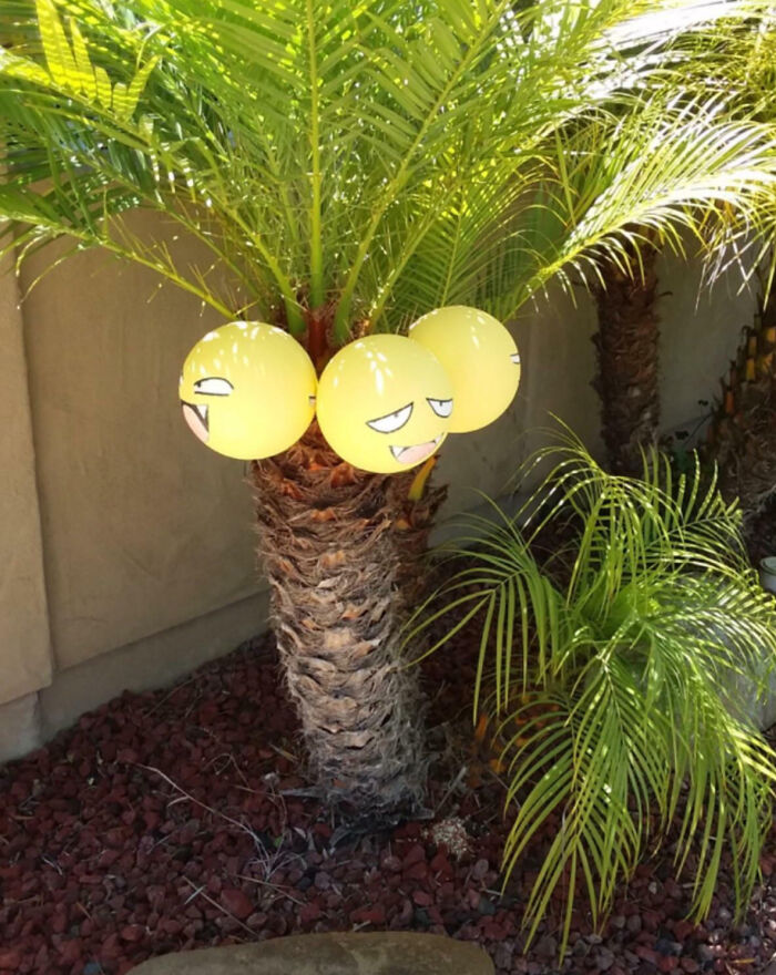 My Neighbors Decorated Their Plant To Look Like Exeggutor