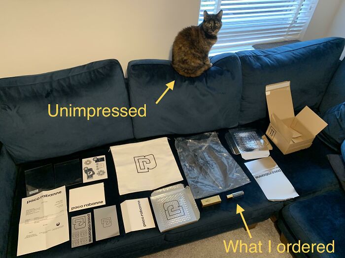 cat sitting unimpressed on couch next to packaging fail showing the difference between expected and received items