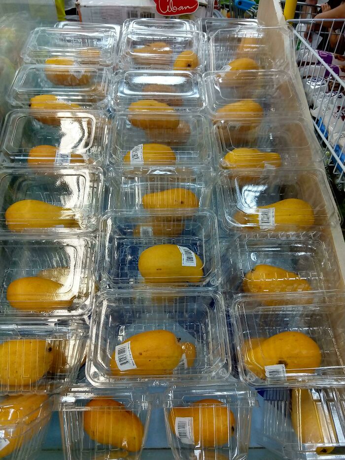 Single small mangoes individually packaged in large clear plastic containers, showcasing a packaging fail with excessive waste and space.
