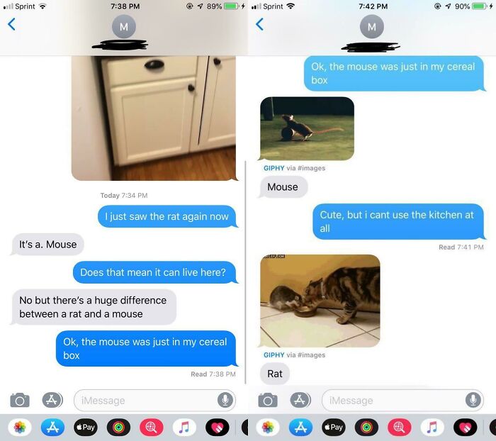 My Friend Got This Response When Telling The Airbnb Owner There Was A Mouse